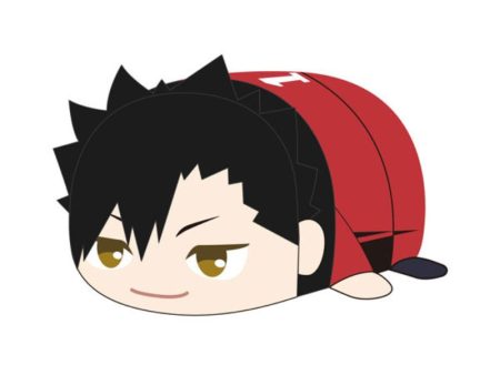 Haikyu!! PoteKoro Mascot Tetsuro Kuroo Msize 2 Plush JAPAN OFFICIAL For Sale