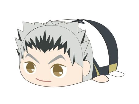 Haikyu!! PoteKoro Mascot Koutaro Bokuto Msize 2 Plush JAPAN OFFICIAL Supply