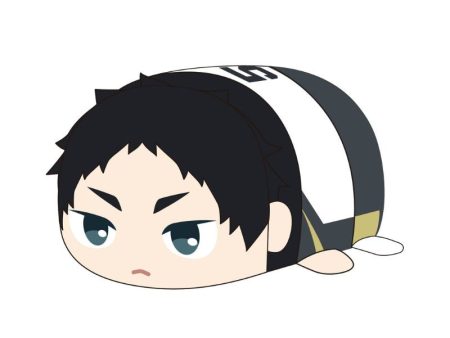 Haikyu!! PoteKoro Mascot Keiji Akaashi Big 2 Plush JAPAN OFFICIAL Online Hot Sale