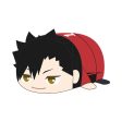 Haikyu!! PoteKoro Mascot Tetsuro Kuroo Big 2 Plush JAPAN OFFICIAL Sale