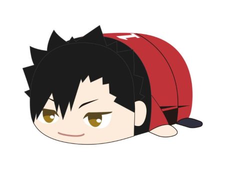 Haikyu!! PoteKoro Mascot Tetsuro Kuroo Big 2 Plush JAPAN OFFICIAL Sale