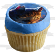 Warrior Cats Firestar Moonrise Twilight and Tiger Star Edible Cupcake Topper Images ABPID56592 Online now