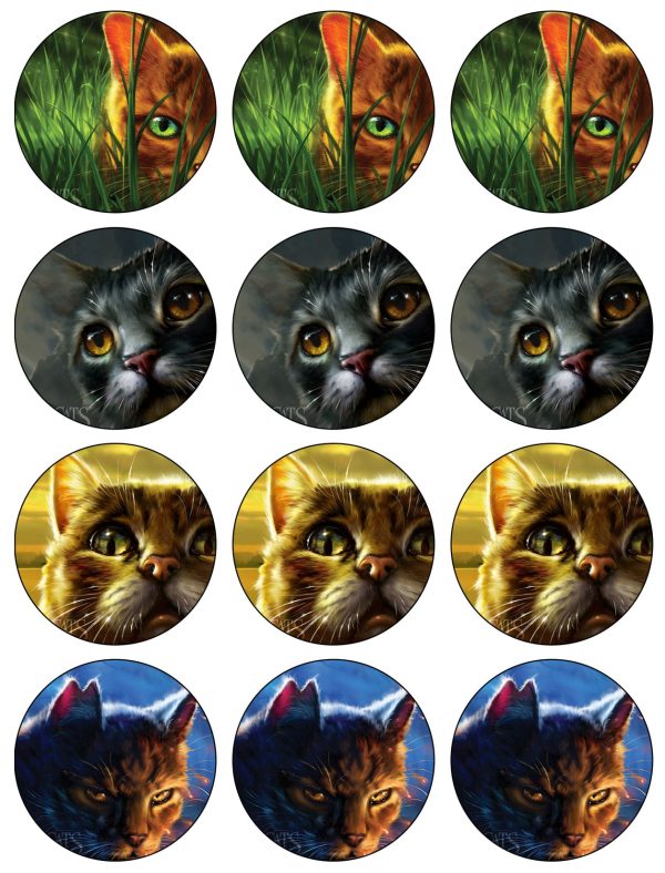 Warrior Cats Firestar Moonrise Twilight and Tiger Star Edible Cupcake Topper Images ABPID56592 Online now