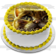 Warrior Cats Book Cover Twilight Edible Cake Topper Image ABPID56651 on Sale