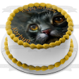 Warrior Cats Book Cover Moonrise Edible Cake Topper Image ABPID56649 Discount